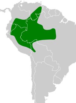 Distribución geográfica del ticotico listado.