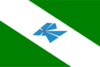 Flag of Parapuã