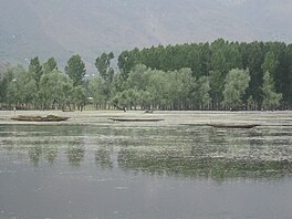 Boats floating in Wular Lake