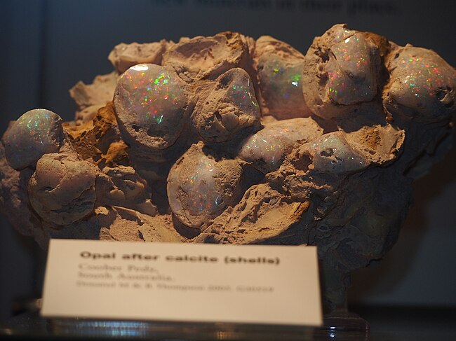 二枚貝の化石がオパール化したもの（シェルオパール）