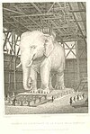 A steel engraving of the plaster full-scale model
