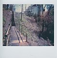 The Frazier Street city steps in South Oakland. Photo by Laura Zurowski.