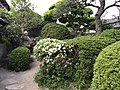 Garden of birthplace of Takasugi Shinsaku