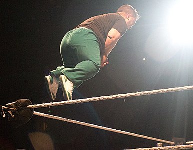 Hornswoggle ascends