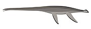 Hydrotherosaurus alexandrae