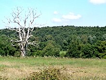 Photographie en couleurs d'paysage de pente boisée descendant la vallée d'une rivière.