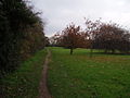 Footpath in England