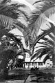 The kibbutz dining room in 1946