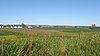 Wide-open farm fields in late summer, seen from a hill