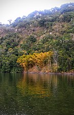 The banks of the lake