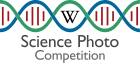 Russian Science Photo Competition 2021