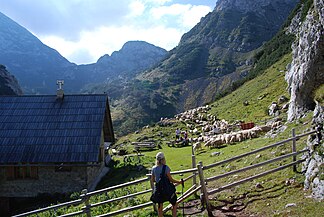 Molič-Alm auf dem Dleskovec-Plateau