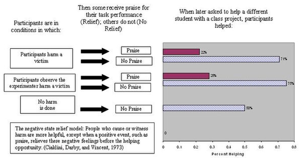 Negative State Relief Model