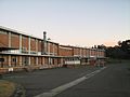 Former Rozelle Hospital building