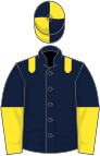 Dark blue, yellow epaulets, halved sleeves, quartered cap