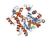 1qz5: Structure of rabbit actin in complex with kabiramide C