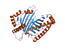 Estrutura molecular da proteína