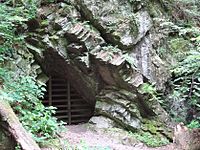 Pahaquarry Copper Mine