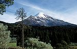 Miniatura para Parque nacional Pico de Orizaba