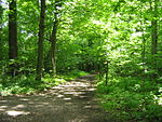 Sentier dans le parc.