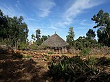 Thatched roofs in Kerene, Ethiopia