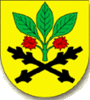 Coat of arms of Velká Bukovina