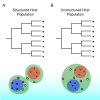 Idealized caricatures of virus phylogenies