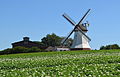 Die Windmühle Eyendorf als Denkmal in der Liste der Baudenkmale in Eyendorf