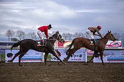 دو چابک‌سوار و اسب‌هایشان در مسابقات اسب دوانی گنبد کاووس