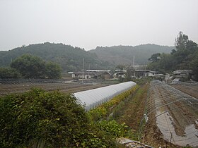 District de Seongju