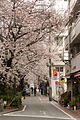 2011年4月13日 (水) 05:35時点における版のサムネイル