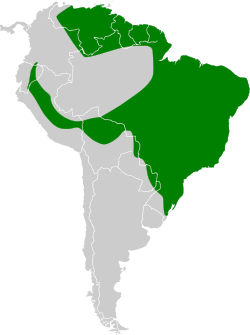 Distribución geográfica del colibrí amatista