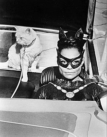 Image of African-American actor Eartha Kitt as Catwoman driving a car with a cat sitting behind her.