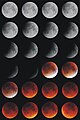 The stages of the Lunar eclipse from Staffordshire, UK