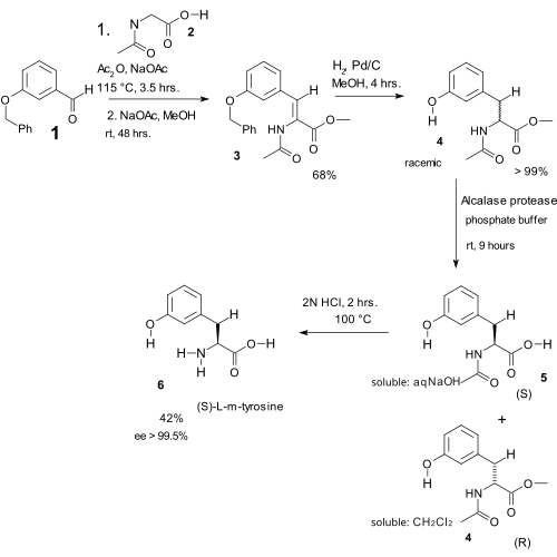 エルレンマイヤーのアミノ酸合成：チロシン