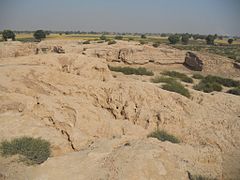 Ruines de Kalibangan.