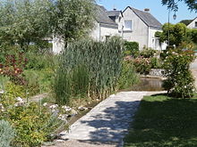 Photographie en couleurs d'un ancien abreuvoir réaménagé en jardin aquatique.