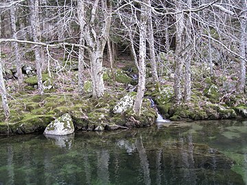 La Dourbie en hiver.