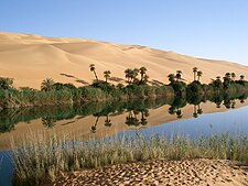 Um lago oásis em Awbari