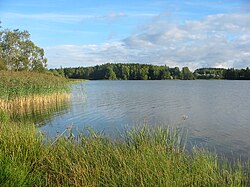 Pusulanjärveä nähtynä Someron kaupungin uimarannalta