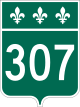 B307