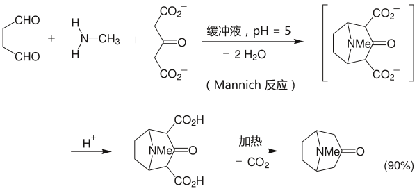 托品酮合成 Robinson