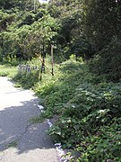 古宮隧道跡 サイクリングロードはそのまま海岸線を佐賀関に向かって延びているが、水道管は途中で突然山の中に消える。その先には、やはりコンクリートブロックで塞がれたトンネルを発見することができる。廃線跡を辿るのであれば、道を辿るのではなく水道管を辿ることになる。