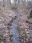 Steinbach-Lauf nach dem zweiten Teich durch den der Bach fließt