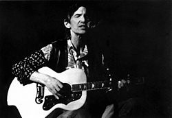 Townes Van Zandt vuonna 1995