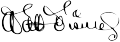 Walt Disney Signature