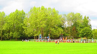 Le parc du lion.