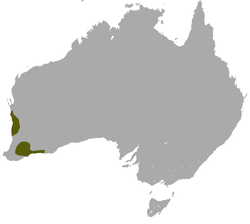 Mapa de distribución de S. granulipes