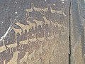 Petroglyphs at Wadi Qarn.