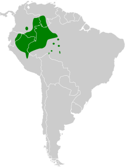 Distribución geográfica del atila citrino.